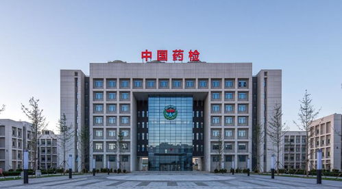 中国中元国际工程公司在哪些城市设立了分公司？在湖北有吗？在湖北哪几个城市？