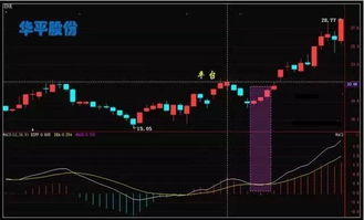 macd死叉股价上涨是怎么回事