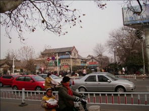 徐州市花鸟市场在哪 
