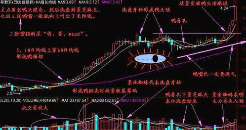 A股高手是怎样样炒股的？