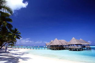 比较马尔代夫和拉姆岛哪个更适合度假（马尔代夫岛与岛之间怎么去）