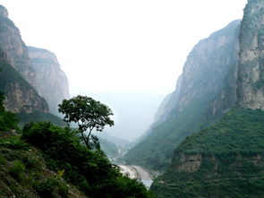 自驾中国最美大峡谷, 山西壶关太行山大峡谷,一幅雄奇的山水画