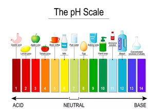 ph值偏碱是什么原因(ph值偏碱是什么意思)