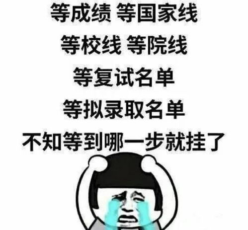 西天取经 其实我只是想好好的毕个业