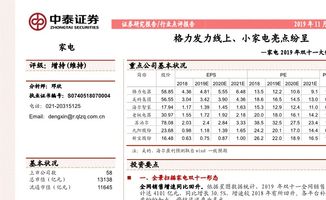 研报 中泰证券 家电行业2019年双十一大促总结 格力发力线上 小家电亮点纷呈 191113 研报 行业分析 慧博投研资讯 