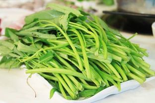 空心菜是最毒的绿色蔬菜 中医为什么不让吃空心菜