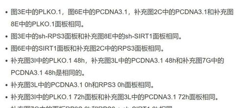 查重评分论文：避免学术不端的必备工具