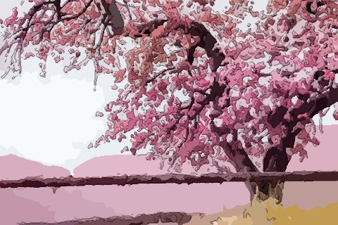 梦见树上开一朵粉色的花(梦见树上开花是粉色)