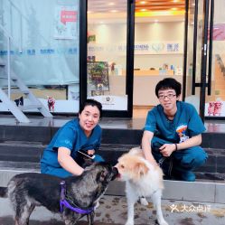 电话 地址 价格 营业时间 黄村宠物医院团购 北京宠物 