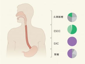 lifeomics 