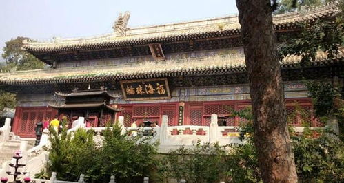 中国的这个寺庙地位高不高,你们看看这儿就知道了