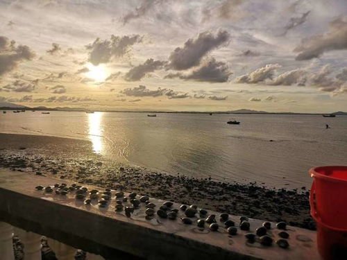 海陵岛可以赶海的地方(海陵岛免费赶海停车场有哪些)