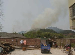 赣州多个县区 因扫墓引发大火 今日到底是清明祭祖还是放火烧山的日子 