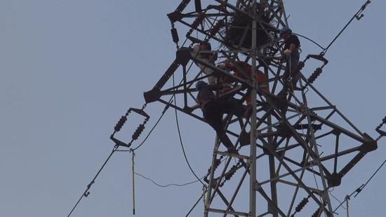 危险 十岁男孩爬高压塔掏鸟窝 被电击伤困30米高空 