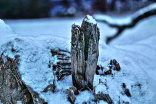 孤舟蓑笠翁，独钓寒江雪——三字叠词语的绝美诠释，孤什么什么三字叠词语有哪些