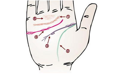 洗澡后手掌起纹有肾病 从掌纹知健康晓财运 