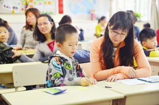 组合拳 打消民办中小学 报名热