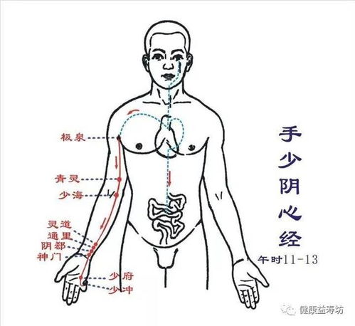 人体十二经络的当令时间和养生事项 