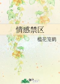 情感禁区 槛花笼鹤 