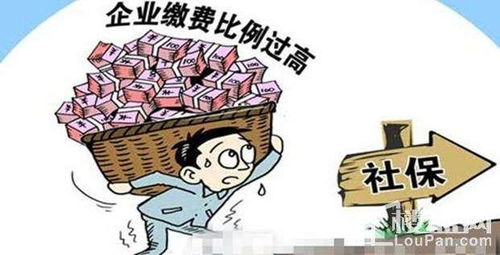 灵活就业养老保险和商业养老保险哪个好(定投基金和灵活就业养老保险对比)