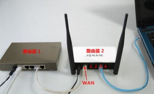 分机路由器怎么设置(独立服务器怎么设置分机)