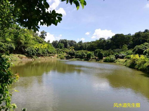 逆水上堂,发财八亿 这样的风水究竟有多好 道先生讲案例