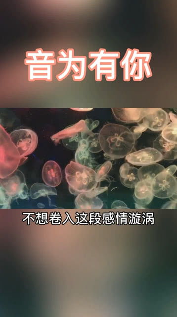 不想卷入这个感情漩涡,因为我已不想一错再错 