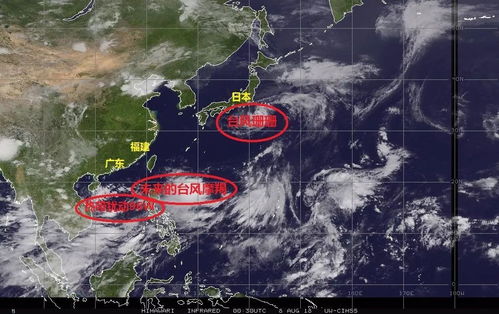 第14号台风摩羯已生成 接下来阳江的天气将...... 