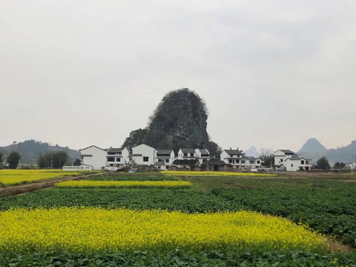 柳州宝宝巴士一日游鹿寨县自驾旅游 