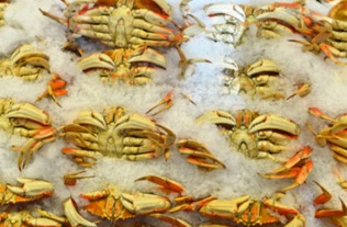 生螃蟹能冷冻保存吗 煮熟的螃蟹能冷冻保存吗