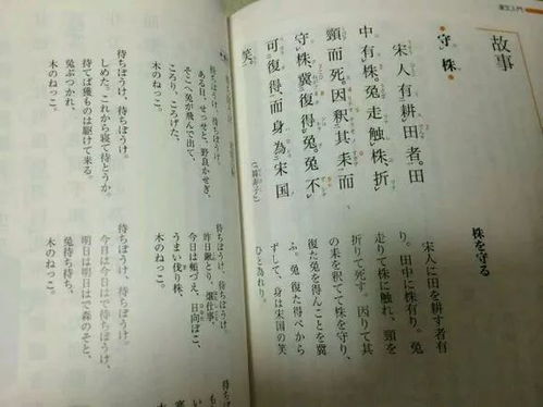 日语可以全都用汉字书写么 