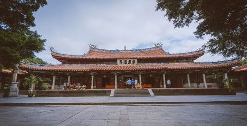 泉州亚洲大黑熊 洛阳桥 开元寺,西街一日游 赠送价值百元神秘大礼