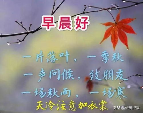 周三早上好,12月18日星期三问候大家的早安祝福语图片带字