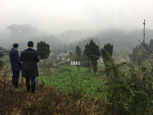 武当王氏风水 中国最权威看风水 风水大师 风水培训 风水学习班门户网 