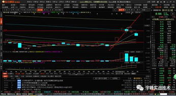 怎么查询我在股市中一共投入多少钱