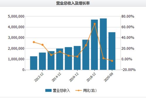 中国中免股票是做什么的？