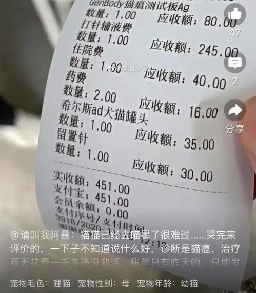 宠物盲盒 曝出后,我们想与你聊几个问题 思客数理话