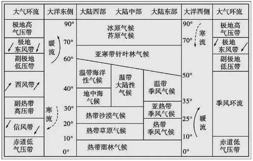 运势分析类视频（运势测定）