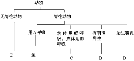 水稻染色体基因组中1centimorgan 约为多少bp?籼稻和粳稻有差别吗？