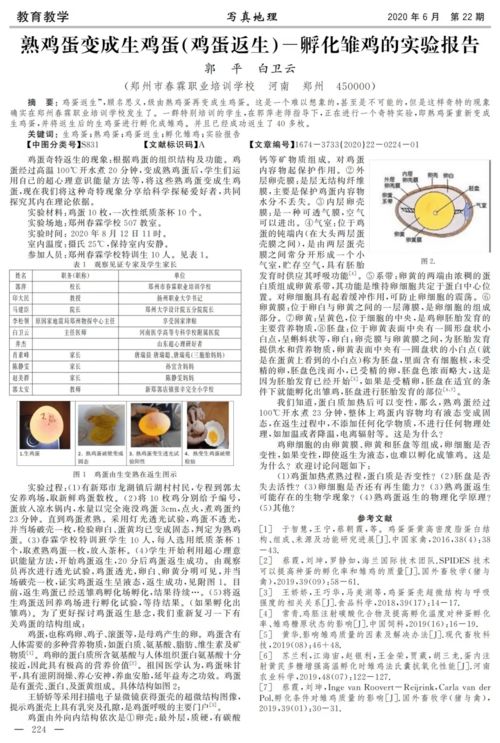 论文查重：学术诚信的守护者，这些优点你不得不知