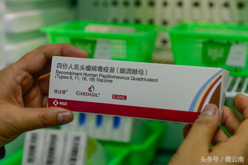 宫颈癌四价疫苗云南首针注射825元 超25岁女性不用组团出国接种 