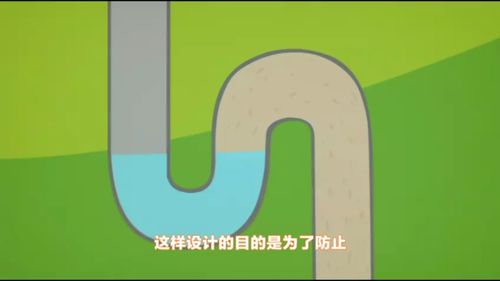 看动画片也能看成小小科学家,这几部科学益智动画,建议收藏