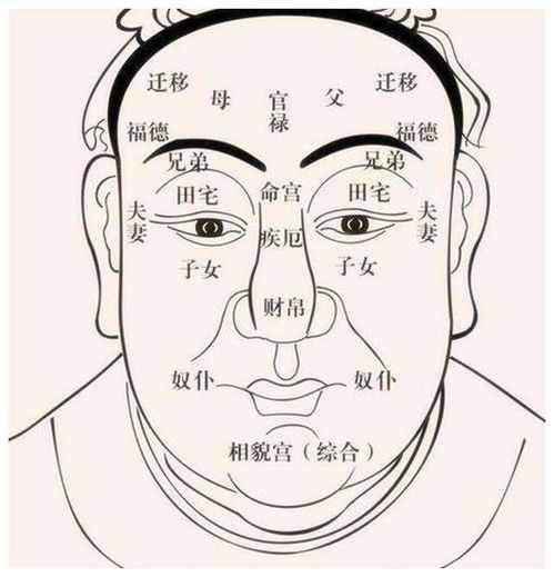 面相学 富贵在天,富看鼻,贵看眼 ,何意 面相能看出富贵