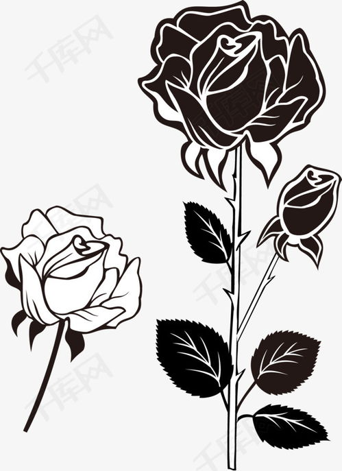 黑白玫瑰花素材图片免费下载 高清装饰图案psd 千库网 图片编号6001821 