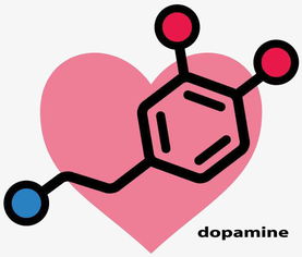 多巴胺是指爱情吗(“多巴胺爱情理论”是什么意思)