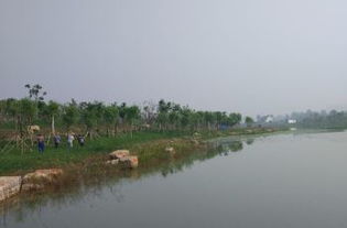 齐河大清河景区交通路线,怎么去大清河景区,大清河景区在哪里 怎么坐车 