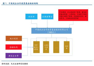 医疗PPP行业国内知名的企业有哪些？