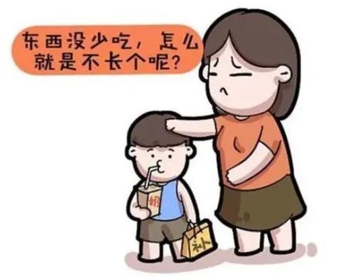 过度喂养该如何调整(过度喂养了如何调整)