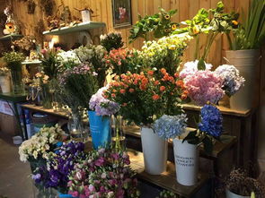 花店一般卖什么花？