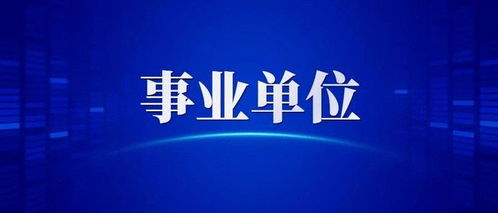 你們自媒體都發(fā)布哪幾個平臺？該怎么做？